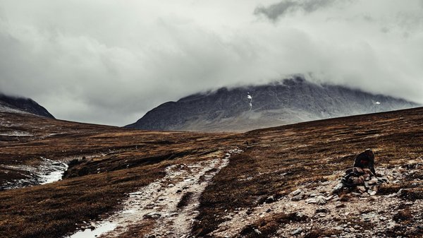 Comment les offres de croisières se sont adaptées à la pandémie