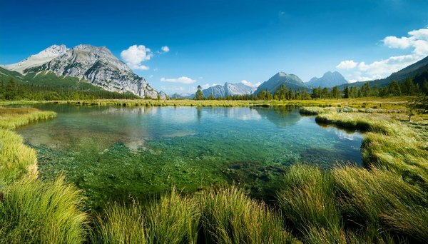 L'aventure du Workaway : travailler en échange d'hébergement